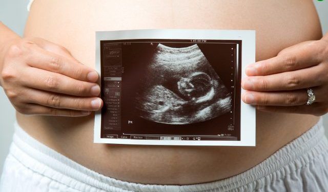 היריון ופוריות