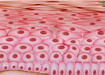 בעיות עור כל מה שחשוב לדעת  אורן זריף הפורטל הרשמי