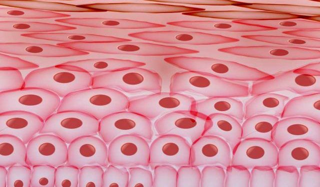 בעיות עור כל מה שחשוב לדעת  אורן זריף הפורטל הרשמי