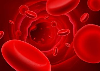 כל האינפורמציה בלי יוצא מהכלל נמצא באתר ימים,שעות,עלות טיפול, סוגי מחלות, והמלצות. אורן זריף פסיכוקנזיס