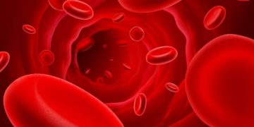 כל האינפורמציה בלי יוצא מהכלל נמצא באתר ימים,שעות,עלות טיפול, סוגי מחלות, והמלצות. אורן זריף פסיכוקנזיס