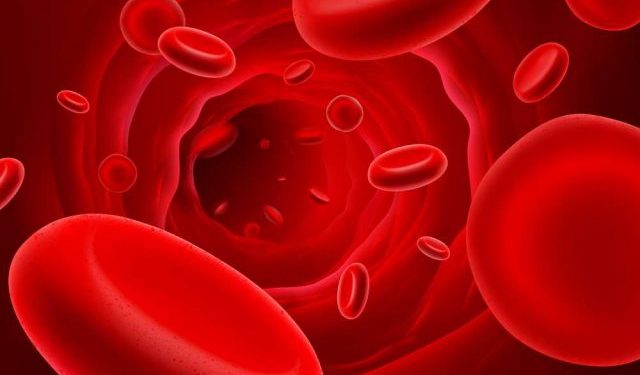 כל האינפורמציה בלי יוצא מהכלל נמצא באתר ימים,שעות,עלות טיפול, סוגי מחלות, והמלצות. אורן זריף פסיכוקנזיס