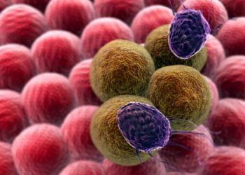 אונקולוגיה