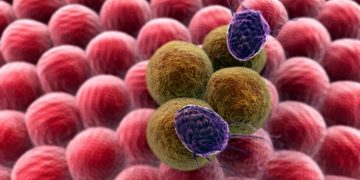 אונקולוגיה