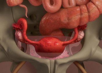 "לא היה לי מחזור כבר 10 חודשים והרופאים לא עזרו – אחרי הטיפול אצל אורן זריף קיבלתי אחרי שבועיים"