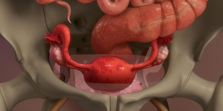 "לא היה לי מחזור כבר 10 חודשים והרופאים לא עזרו – אחרי הטיפול אצל אורן זריף קיבלתי אחרי שבועיים"