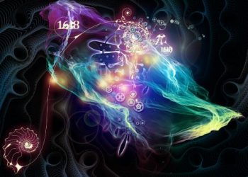 אורן זריף מתוך התכנית טבע הדברים – פרק 7