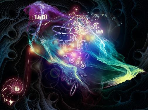 אורן זריף מתוך התכנית טבע הדברים – פרק 7