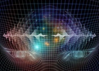 אורן זריף מתוך התכנית טבע הדברים – פרק 1