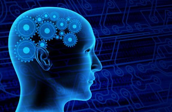 אורן זריף מתוך התכנית טבע הדברים – פרק 12