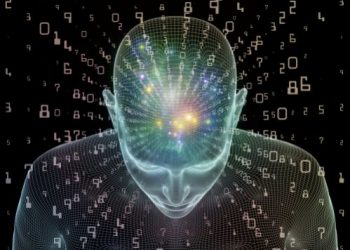 אורן זריף באולפן הבוקר בערוץ 10 – הסיפור המרגש של התוכי המקלל