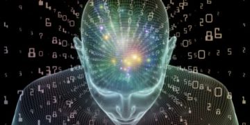 אורן זריף באולפן הבוקר בערוץ 10 – הסיפור המרגש של התוכי המקלל