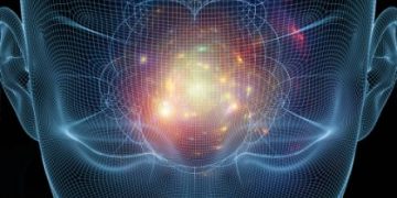 אורן זריף מתוך התכנית טבע הדברים – פרק 8