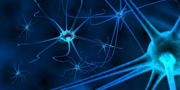 אורן זריף מתוך התכנית טבע הדברים – פרק 4