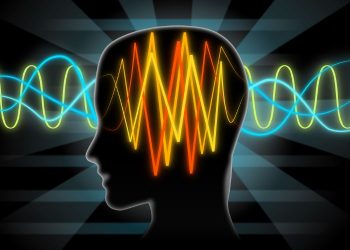 אורן זריף מתוך התכנית טבע הדברים – פרק 11