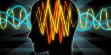 אורן זריף מתוך התכנית טבע הדברים – פרק 11