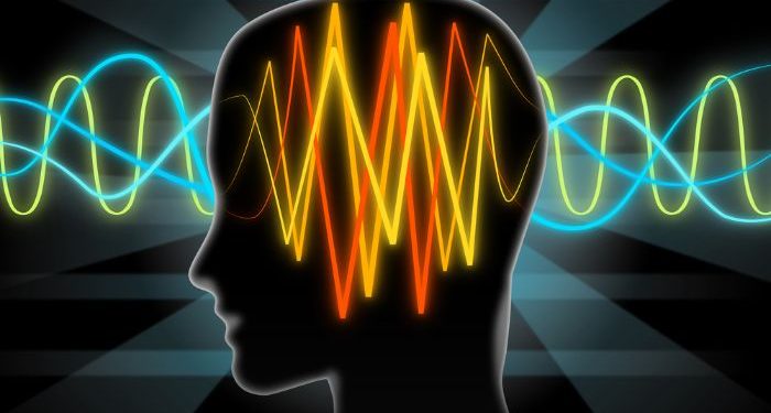 אורן זריף מתוך התכנית טבע הדברים – פרק 11