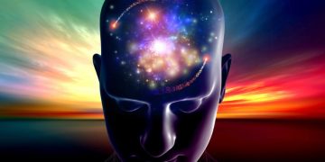 אורן זריף מתוך התכנית טבע הדברים – פרק 9