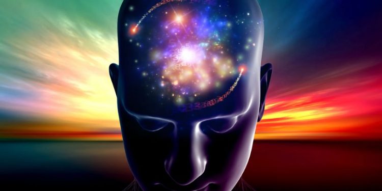 אורן זריף מתוך התכנית טבע הדברים – פרק 9