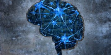 אורן זריף מתוך התכנית טבע הדברים – פרק 5